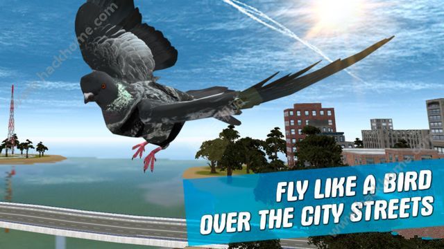 ֮ģ3D޽ڹƽ棨city bird pigeon simulator 3dͼ3: