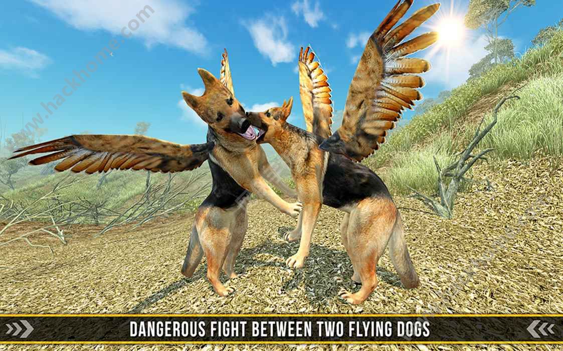 wҰģM°׿棨Flying Dog  Wild SimulatorD5: