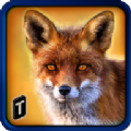 Ұռ2021Ϸ׿棨Wild Fox Adventures2021 v1.0