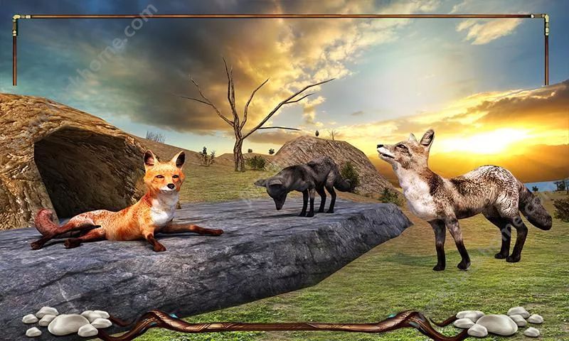 ҰUӛ2024[׿棨Wild Fox Adventures2024D2: