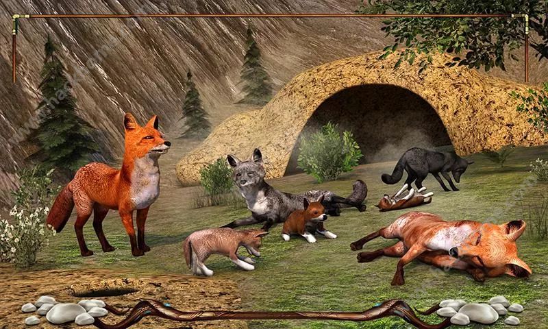 ҰUӛ2024[׿棨Wild Fox Adventures2024D4: