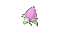 ɾ˵ROɫ˽ڻݽͼƬ8