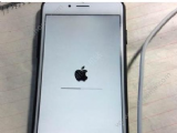 ƻ���ֻ�һֱ���ڰ�ƻ����iPhone�ֻ���ƻ���������