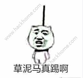 鷳µʲô˼鷳µͼƬͼƬ3