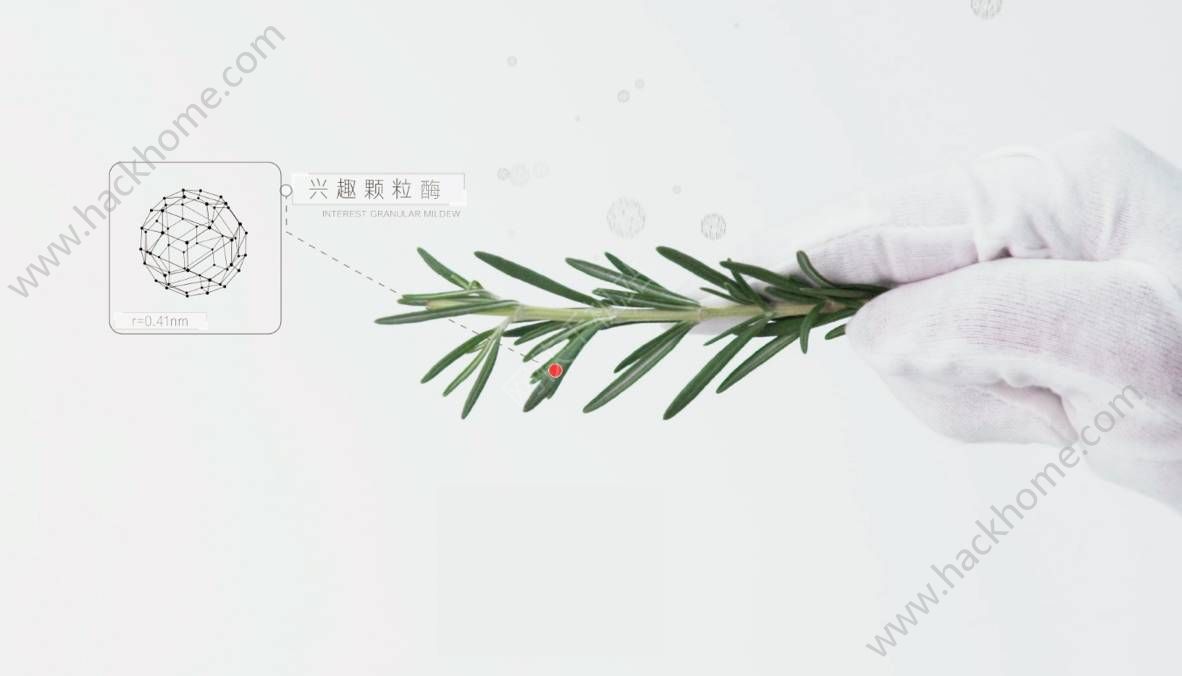^llͨlʲNͬlYُIDƬ2