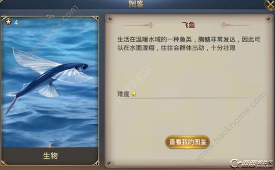 󺽺֮·ɵ깥ͼƬ1