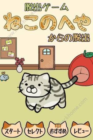 脱出游戏从猫小屋脱逃攻略大全全关卡通关攻略 嗨客手机站 脱出游戏从猫小屋脱逃攻略大全全关卡通关攻略 嗨客手机站