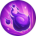 ˵ȫӢƼ ˵ȫӢ۽ͼƬ25