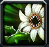 300Ӣ۴սμܽ 300սμмͼƬ4