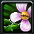 300Ӣ۴սμܽ 300սμмͼƬ3