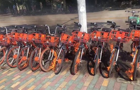 Ħ�݆�܇݆̥��ȼ���N���£�Ħ�݆�܇݆̥��ȼ���wԭ���B[���D]�DƬ1