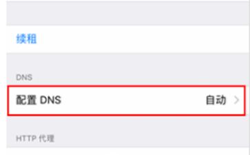 iPhone8ôDNSiPhone8DNS̳ͼƬ2
