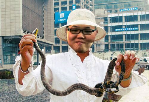 你在玩蛇是什么梗lol中玩蛇是什么意思图