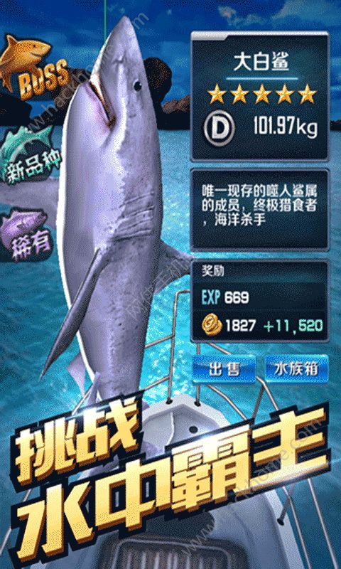 ȫ~3Dˢ~Ͱ׿D3: