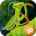 Ұ�����ģ������׿�棨Mantis Insect Life Simulator�� v1.0.0