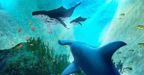 N^ģM3DΑĝhdHammerhead Shark Simulator 3DD2: