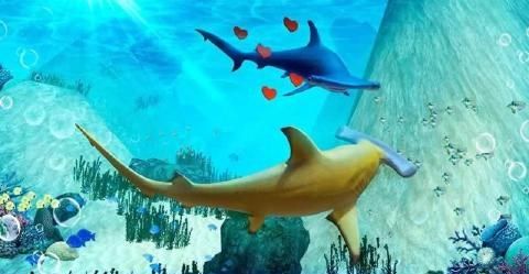 N^ģM3DΑĝhdHammerhead Shark Simulator 3DD4: