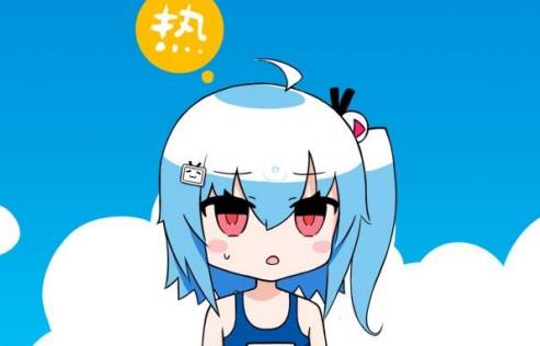 ʲô˳