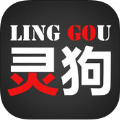 鹷г¼ǹٷapp v1.0