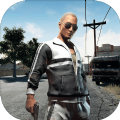 PUBG SURVIVE 2017Ϸذ׿ v1.0