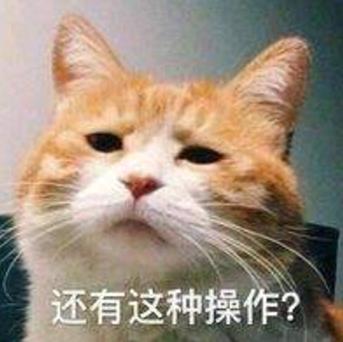 ڼ10㰮Ҷһʲôʲô˼