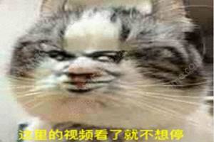 Wb[ҕlྫʿcDƬ1