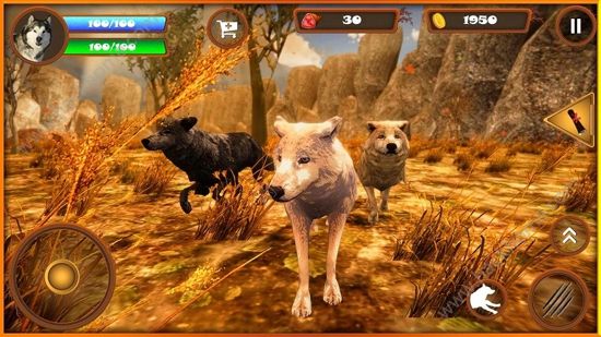 KOģMİ׿棨The Ultimate Wolf SimulatorD4: