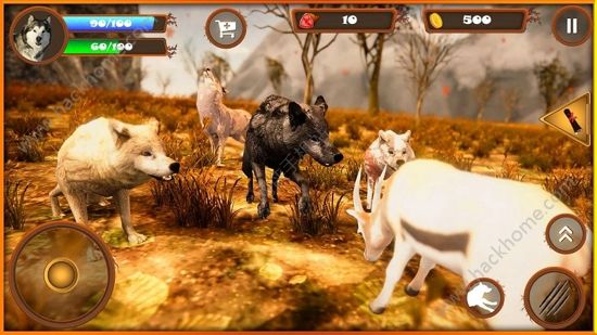 KOģMİ׿棨The Ultimate Wolf SimulatorD5: