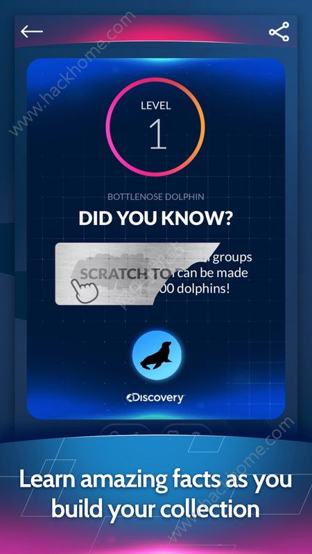 ֿ̽׿ϷأDiscovery Card Questͼ2: