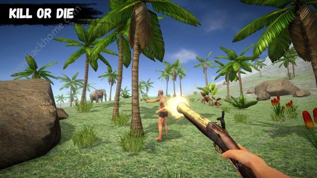 Ҵðյ׿Ϸ(Survivor Adventure Island Evolve)ͼ4: