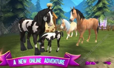 СϷ׿棨Horse Paradiseͼ1: