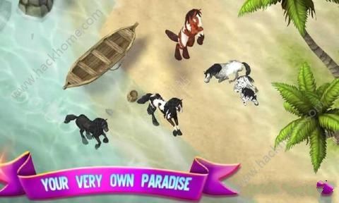 СϷ׿棨Horse Paradiseͼ4: