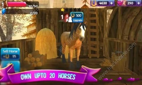 СϷ׿棨Horse Paradiseͼ3: