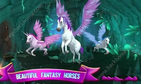 СϷ׿棨Horse Paradiseͼ2: