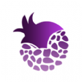 紫石榴