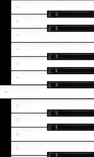 IPappD2