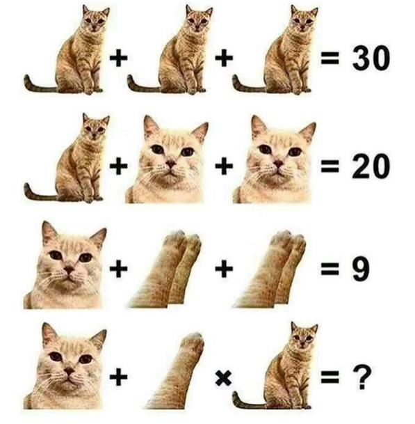ֻèӵ30 һֻèèͷ20յ
