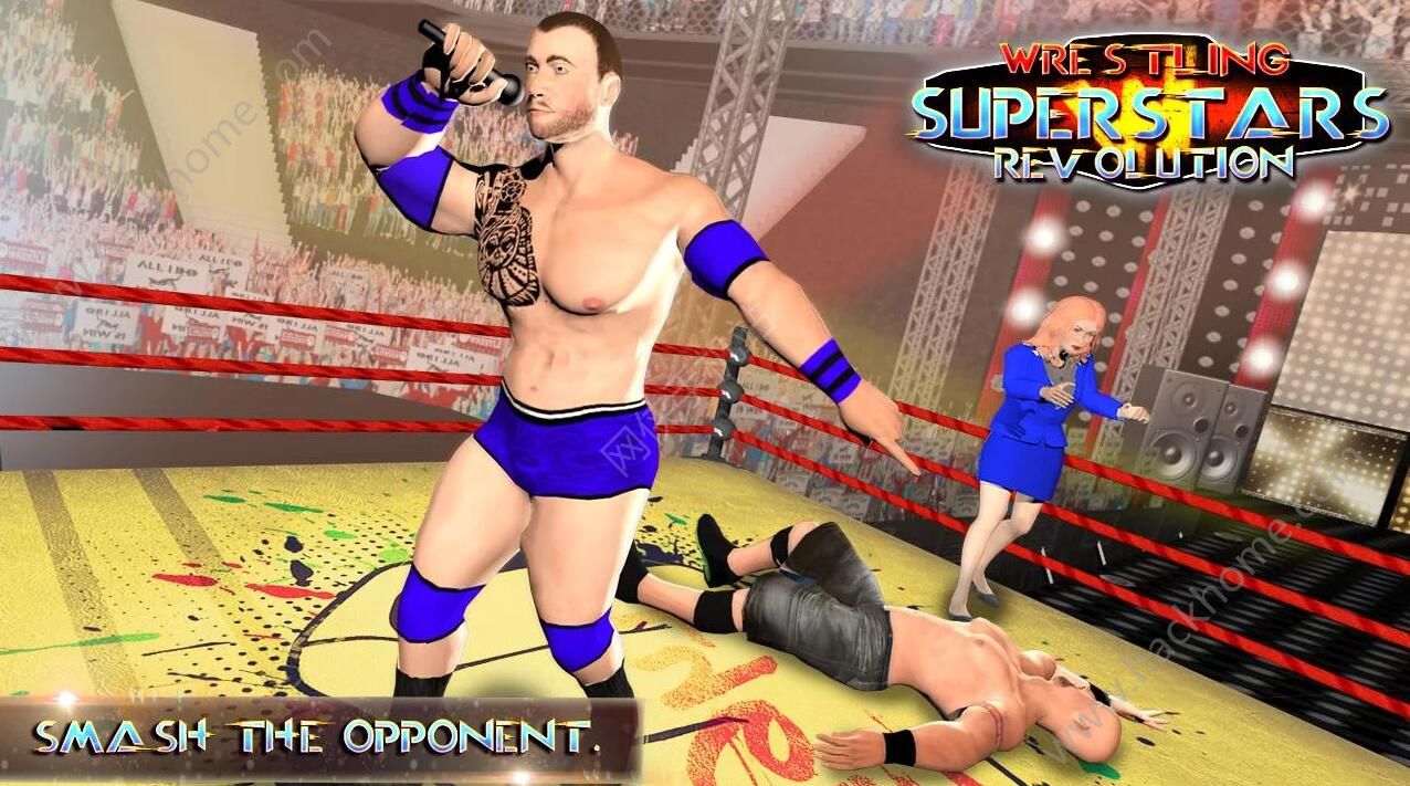 ˤӳ(j)ǸΑ׿棨Wrestling SuperStarsD2: