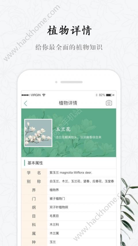 ���۹ٷ����ֻ���������ͼ2: