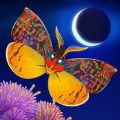 ֮ҹٷϷ(Flutter Starlight) v1.39