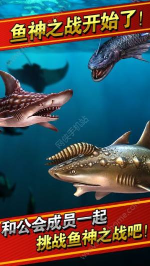 钓鱼发烧友3.0.8绿钞版安卓版图片1