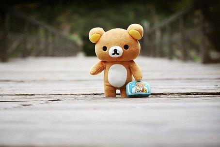 �����ܲ�������ʲô�������ܲ����ܱ������ʲô��