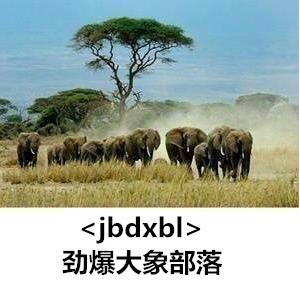 ����������ʲô��˼��������������ʲô��