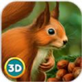 ����ģ�������İ�׿�棨Squirrel Animal simulator�� v1.0