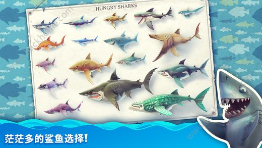 3D1.8.4ĽҰ׿棨Hungry Shark Worldͼ1: