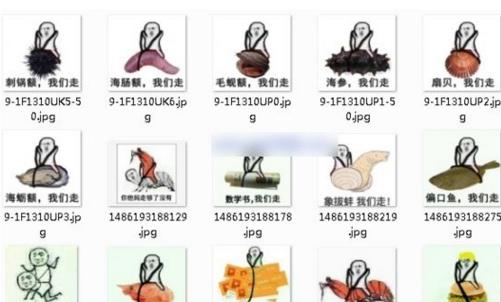 ƤƤ����������ʲô������ΰ�������ʲô��˼