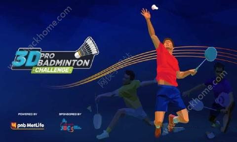 3Dרҵëİ׿(3D Pro Badminton Challenge)ͼ1: