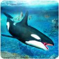 虎鲸模拟器3D游戏