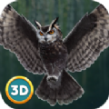 èͷӥģ�������İ�׿�棨Owl Bird Survival�� v1.0
