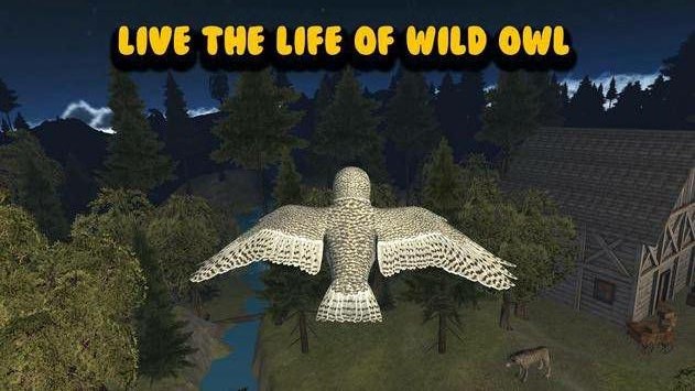 èͷӥģ�������İ�׿�棨Owl Bird Survival��ͼ1: